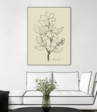 Floral 1 by Dan Hobday on GIANT ART - flowers and plants sketch