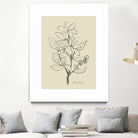 Floral 1 by Dan Hobday on GIANT ART - flowers and plants sketch