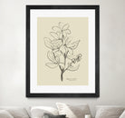 Floral 1 by Dan Hobday on GIANT ART - flowers and plants sketch