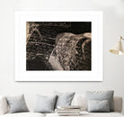 Universe by Doris Schmitz on GIANT ART - 4592 illustration