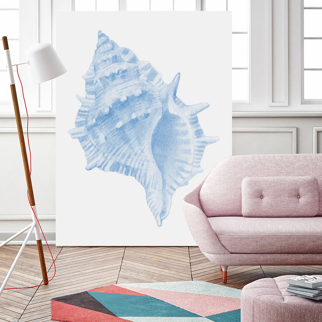 One Blue Conch by Jolly on GIANT ART - illustration animal