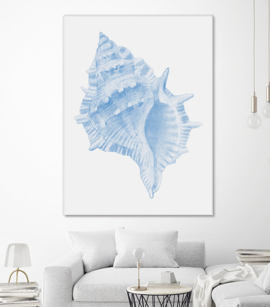 One Blue Conch by Jolly on GIANT ART - illustration animal