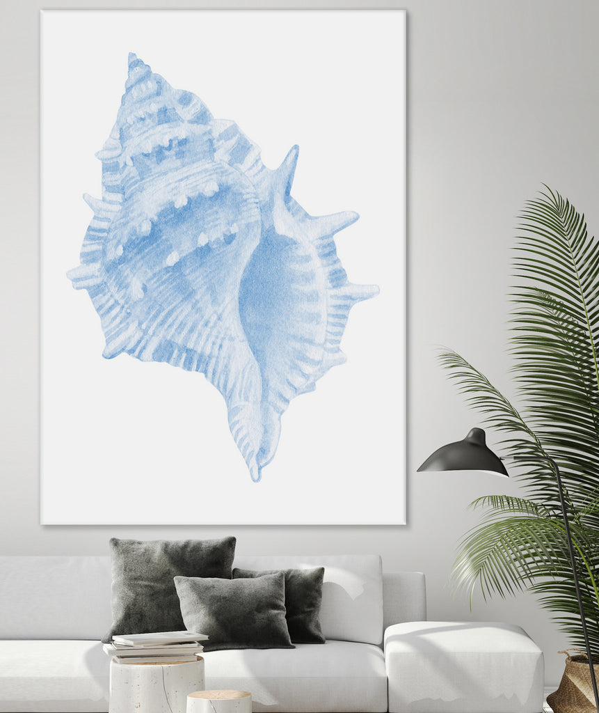 One Blue Conch by Jolly on GIANT ART - illustration animal