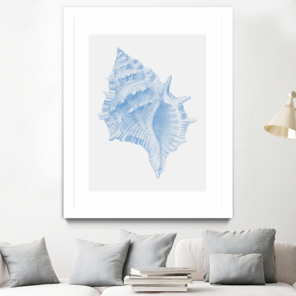 One Blue Conch by Jolly on GIANT ART - illustration animal