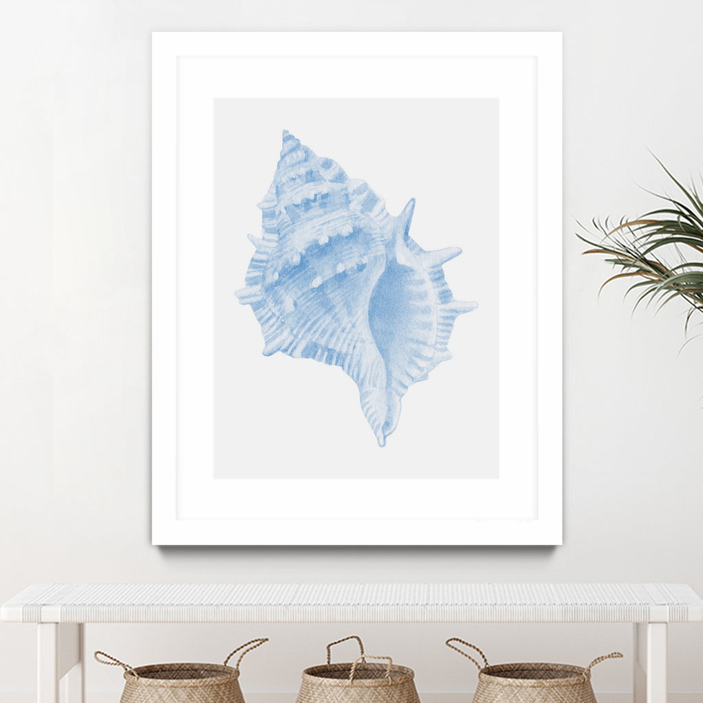 One Blue Conch by Jolly on GIANT ART - illustration animal