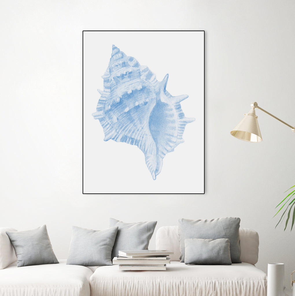 One Blue Conch by Jolly on GIANT ART - illustration animal