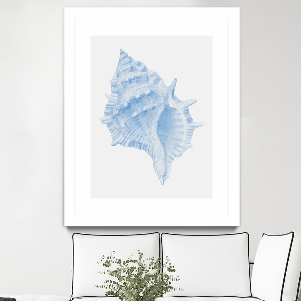 One Blue Conch by Jolly on GIANT ART - illustration animal