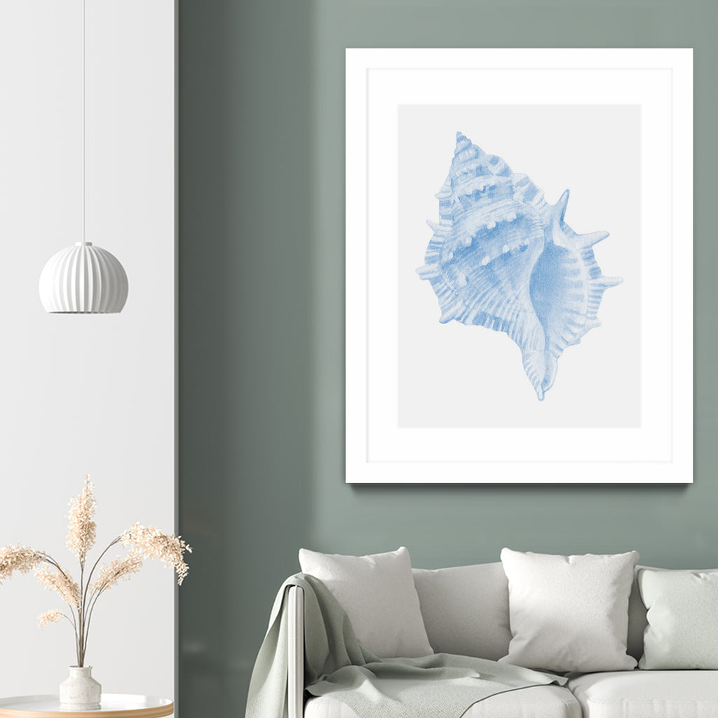 One Blue Conch by Jolly on GIANT ART - illustration animal