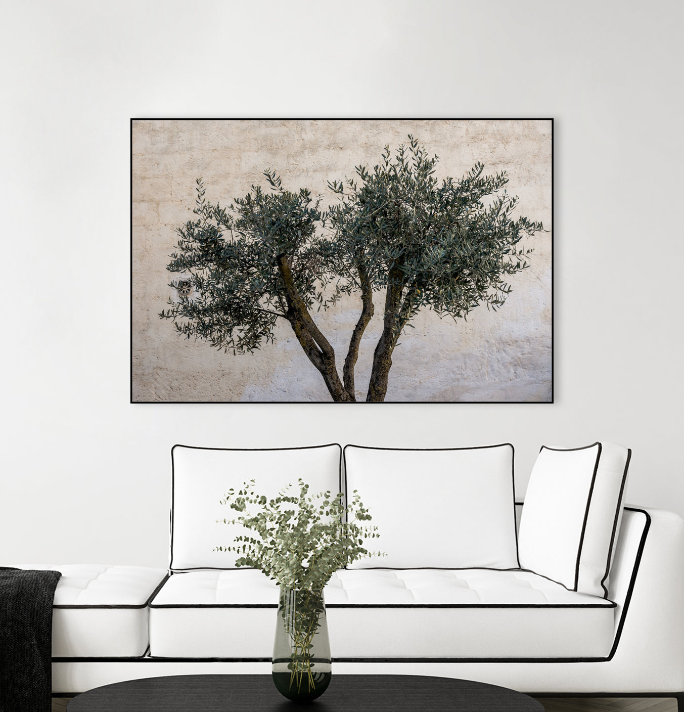 Olive Trees by Photolovers on GIANT ART - landscape plant