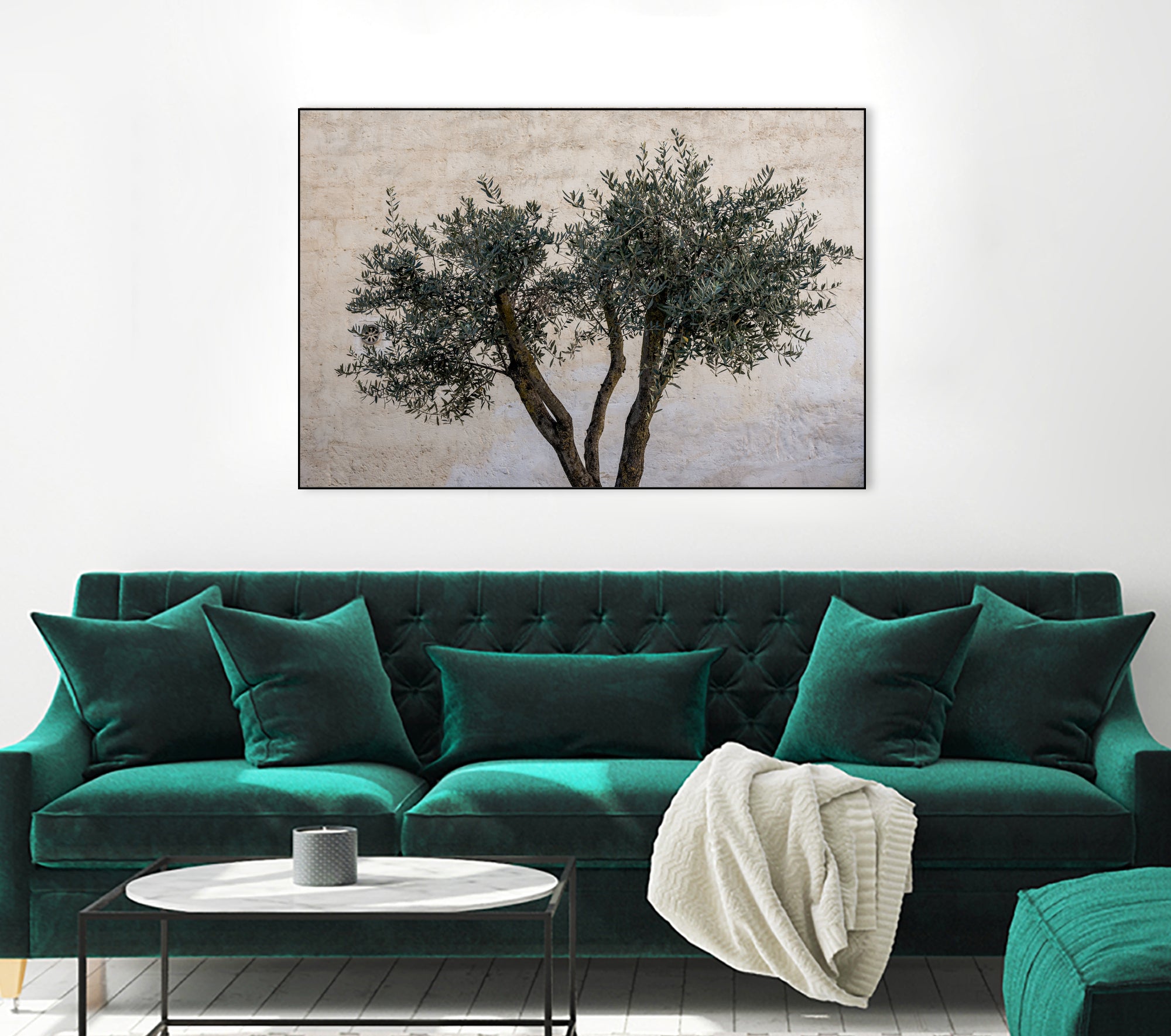 Olive Trees by Photolovers on GIANT ART - landscape plant