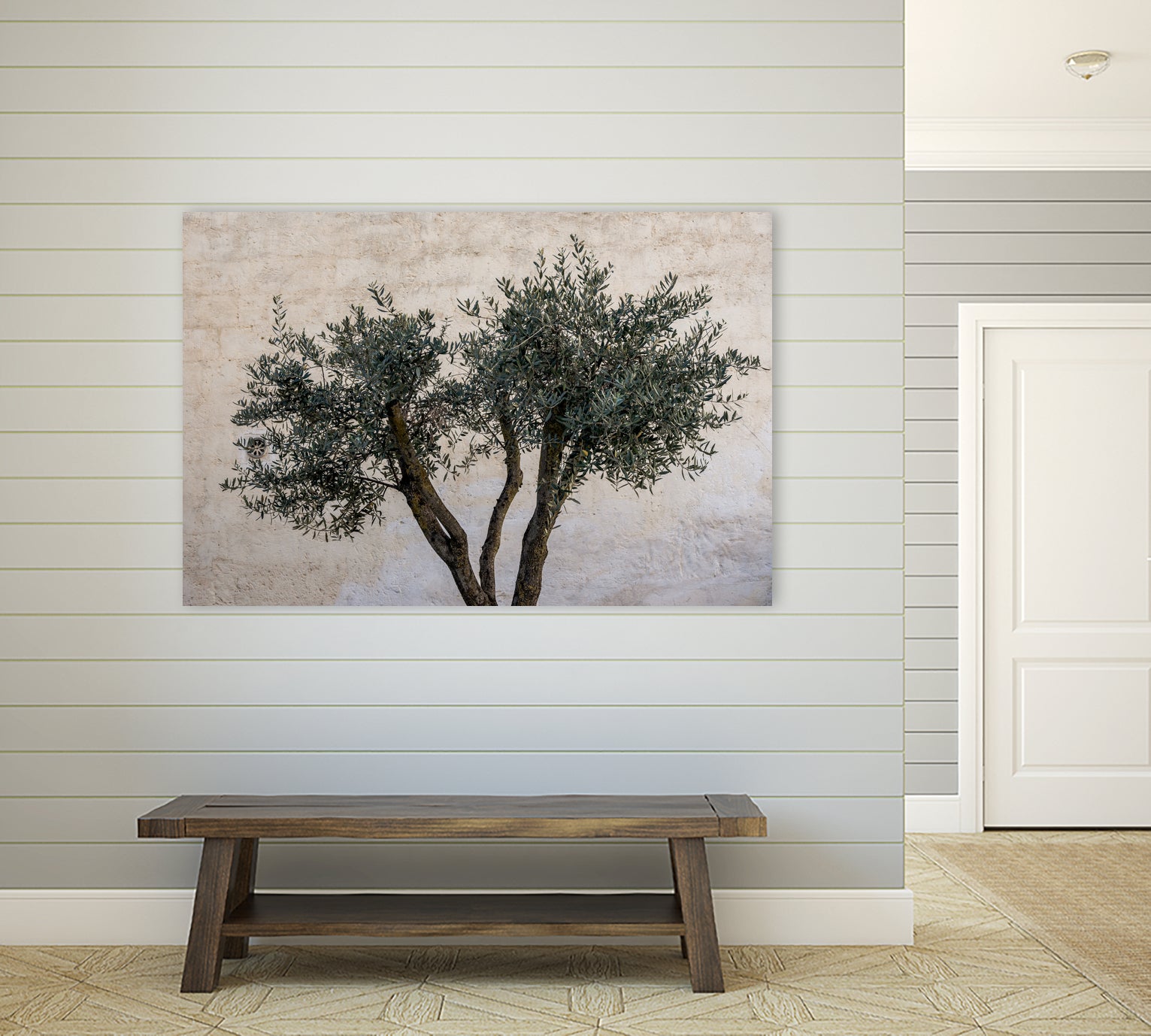Olive Trees by Photolovers on GIANT ART - landscape plant