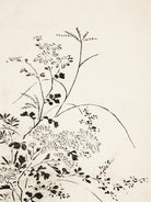 Autumn Flowers and Grasses (1762) by Miyazaki Yuzen on GIANT ART - illustration drawing