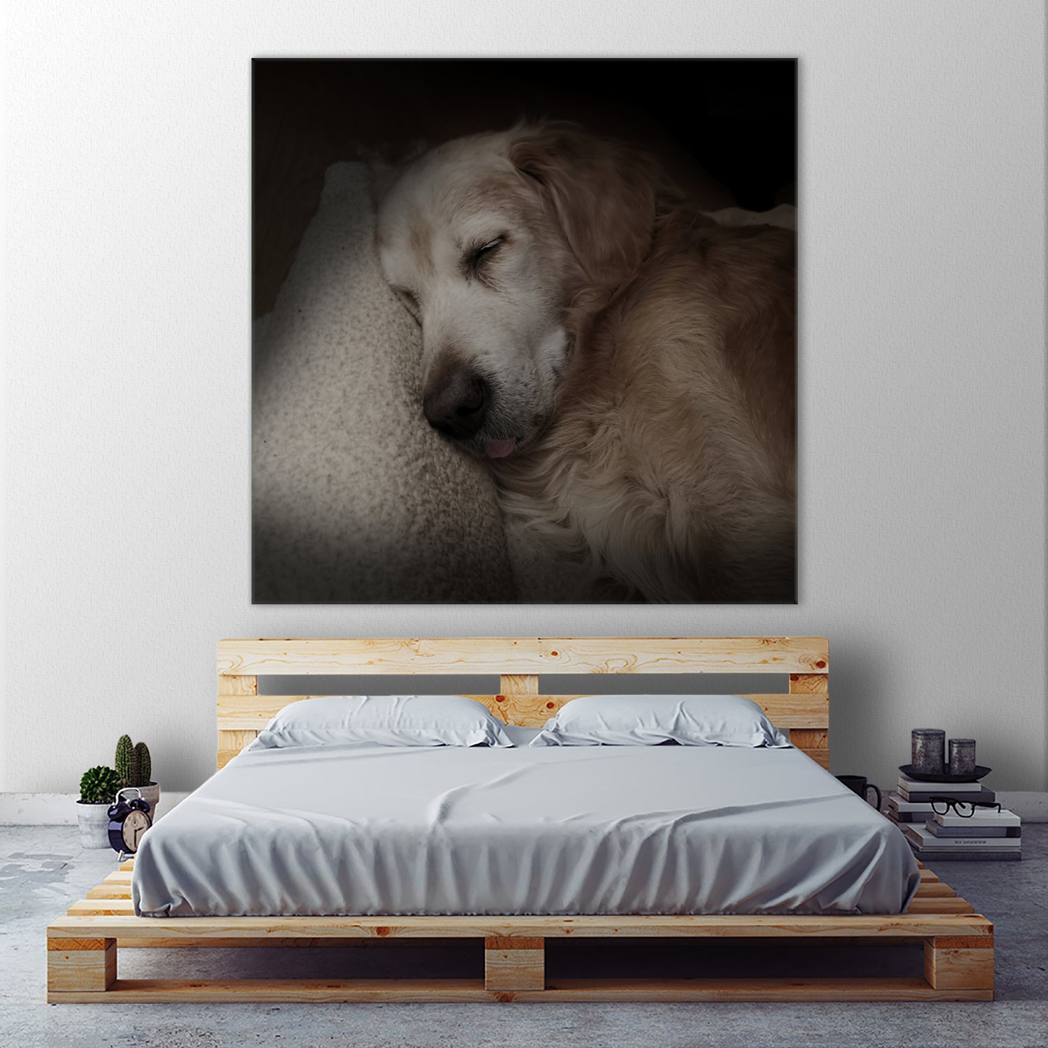 Sleeping Golden by Andreas Magnusson on GIANT ART - animals golden