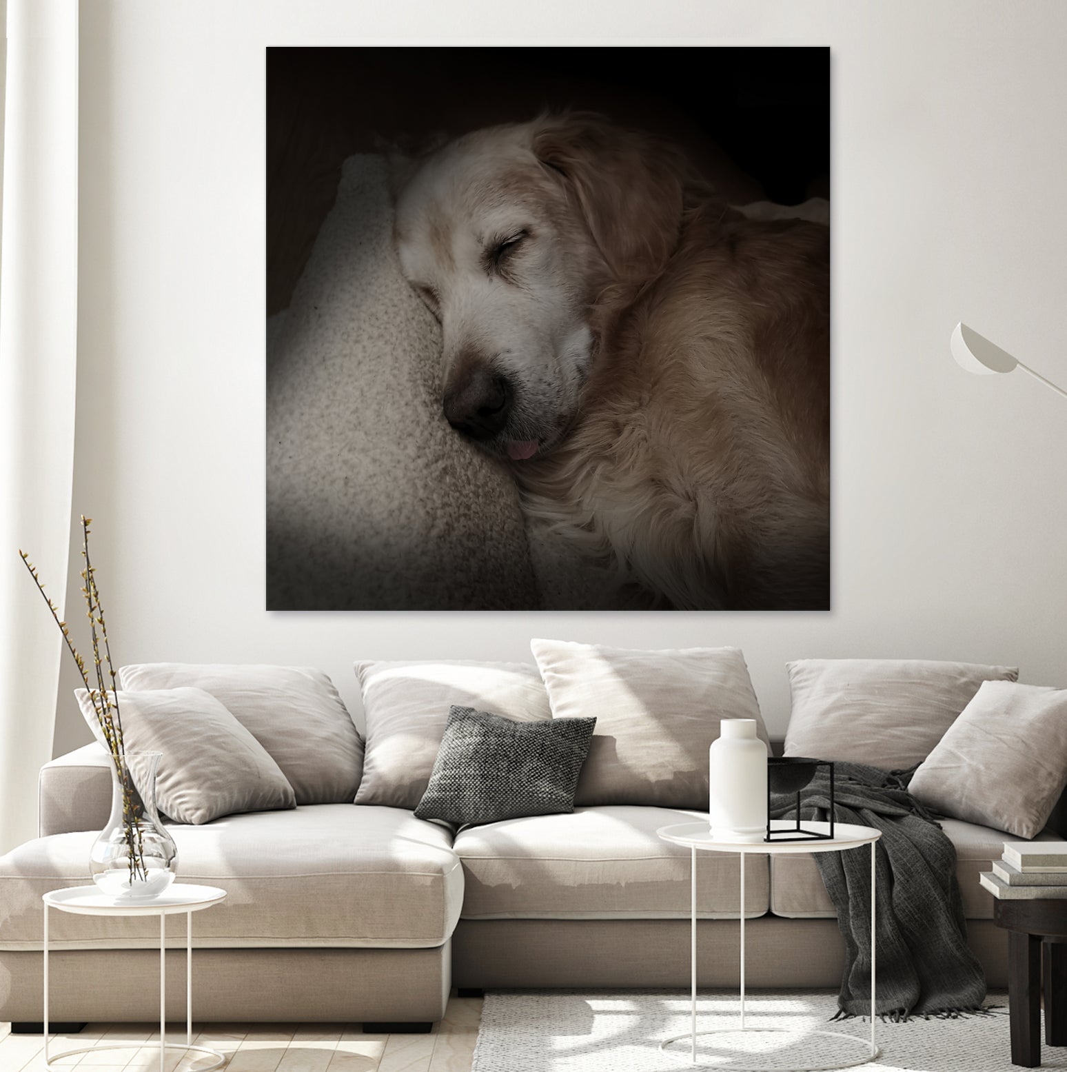 Sleeping Golden by Andreas Magnusson on GIANT ART - animals golden