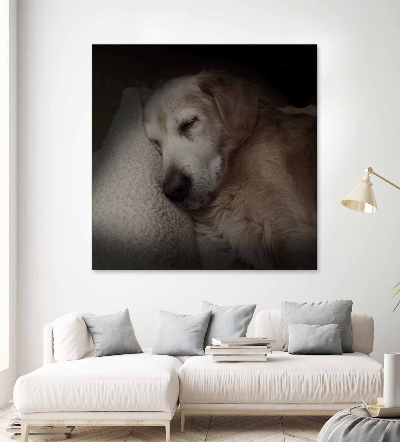 Sleeping Golden by Andreas Magnusson on GIANT ART - animals golden