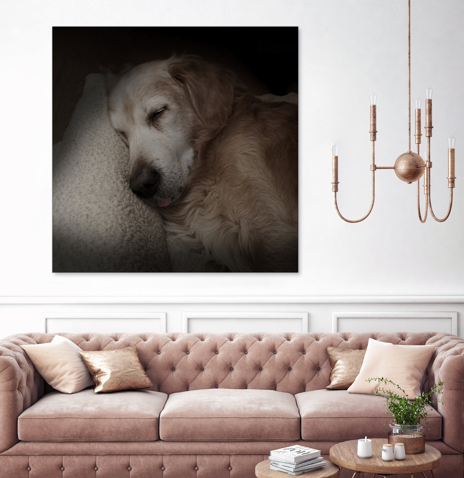 Sleeping Golden by Andreas Magnusson on GIANT ART - animals golden