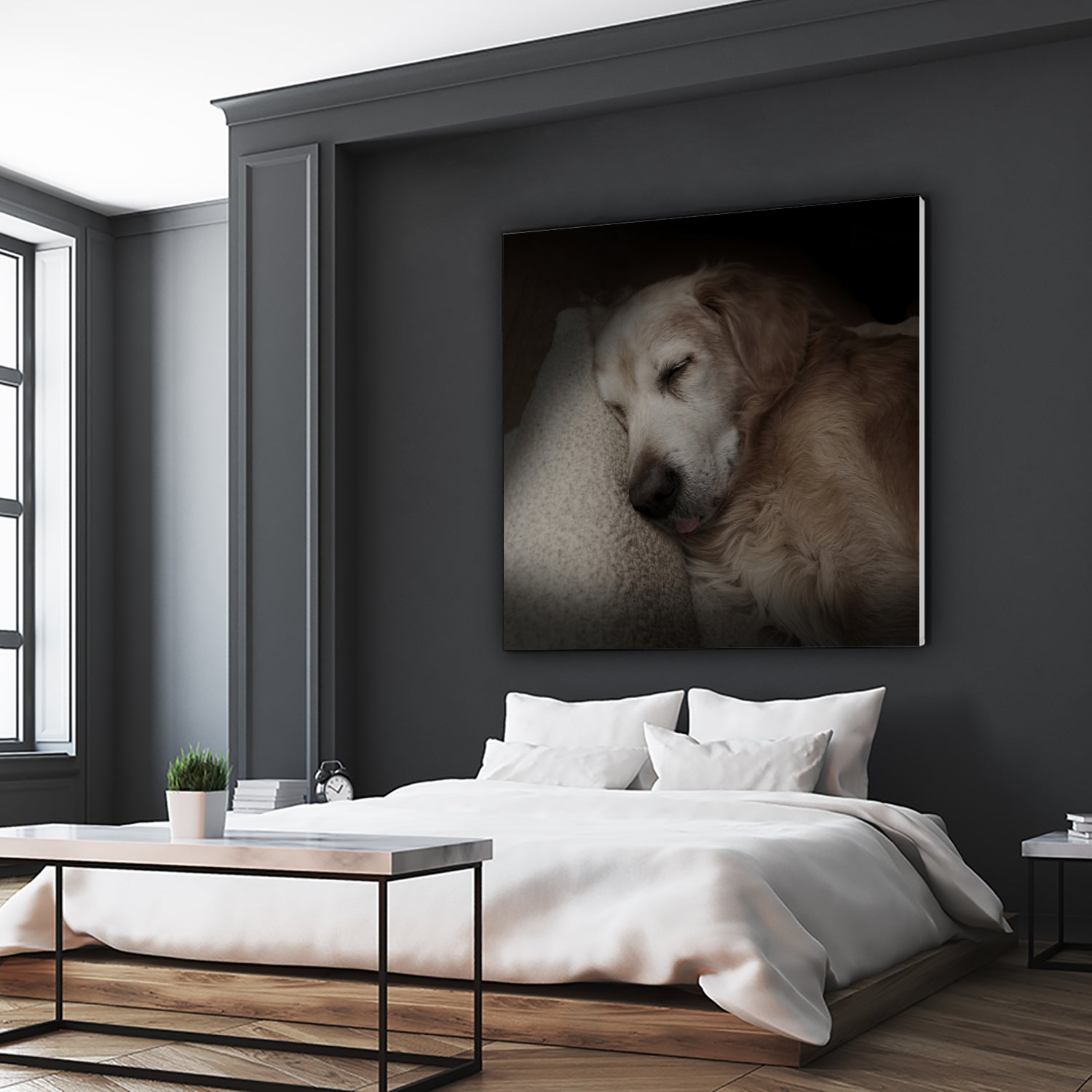 Sleeping Golden by Andreas Magnusson on GIANT ART - animals golden