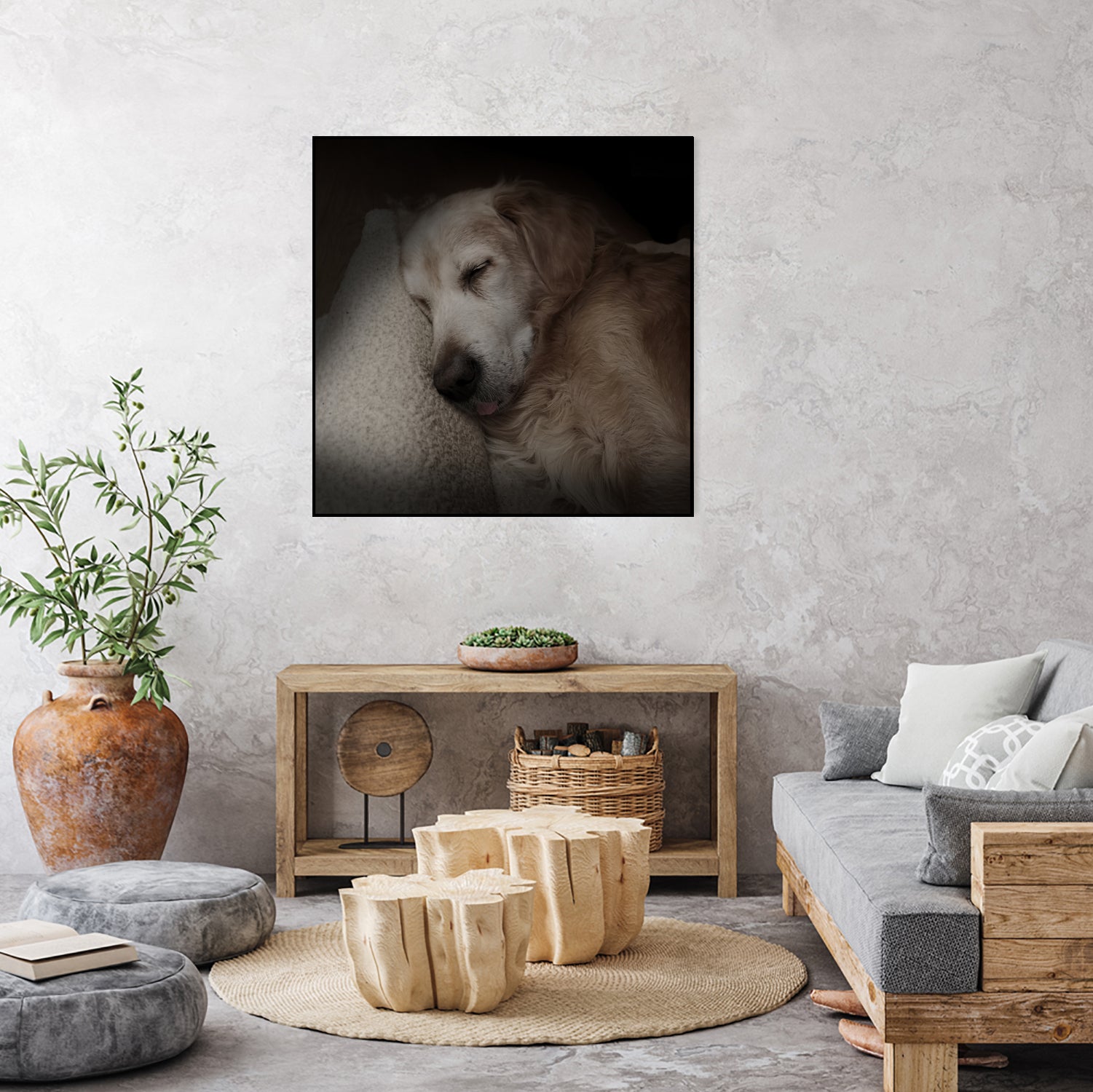 Sleeping Golden by Andreas Magnusson on GIANT ART - animals golden