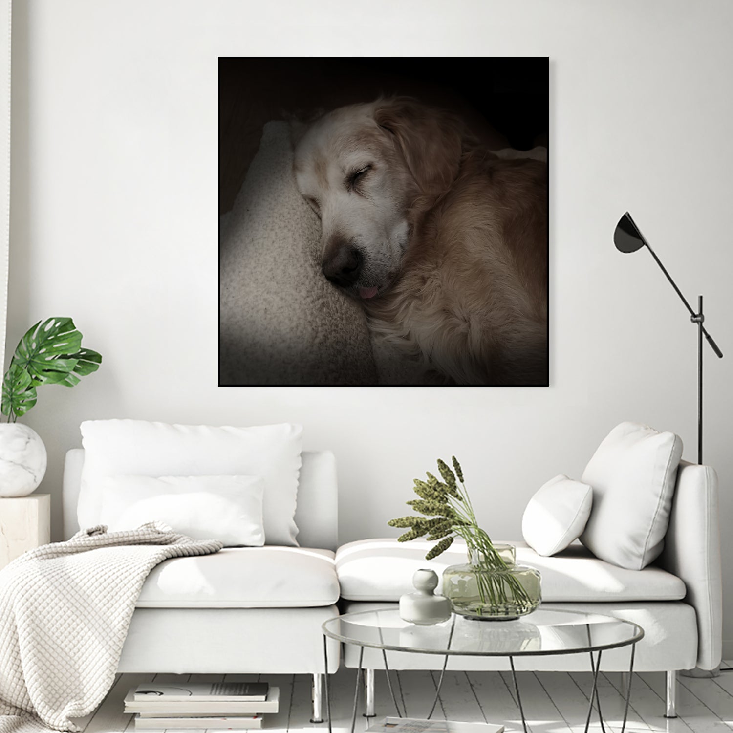 Sleeping Golden by Andreas Magnusson on GIANT ART - animals golden