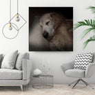 Sleeping Golden by Andreas Magnusson on GIANT ART - animals golden