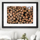 Stacked Timber Beauty by Javier Pardina on GIANT ART - 8192 photography