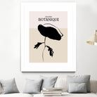 Monochrome Bloom by Treechild on GIANT ART -  botanical art