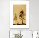 Two Trees Capturing Simplicity And Nature by Santhosh ch on GIANT ART - 14071 illustration