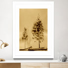 Two Trees Capturing Simplicity And Nature by Santhosh ch on GIANT ART - 14071 illustration