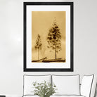 Two Trees Capturing Simplicity And Nature by Santhosh ch on GIANT ART - 14071 illustration