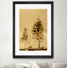 Two Trees Capturing Simplicity And Nature by Santhosh ch on GIANT ART - 14071 illustration