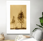 Two Trees Capturing Simplicity And Nature by Santhosh ch on GIANT ART - 14071 illustration