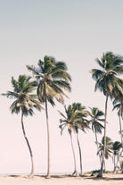 Blush Tropical Trees by Kathrin Pienaar on GIANT ART - palm trees  palm trees