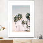 Blush Tropical Trees by Kathrin Pienaar on GIANT ART - palm trees  palm trees