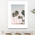 Blush Tropical Trees by Kathrin Pienaar on GIANT ART - palm trees  palm trees