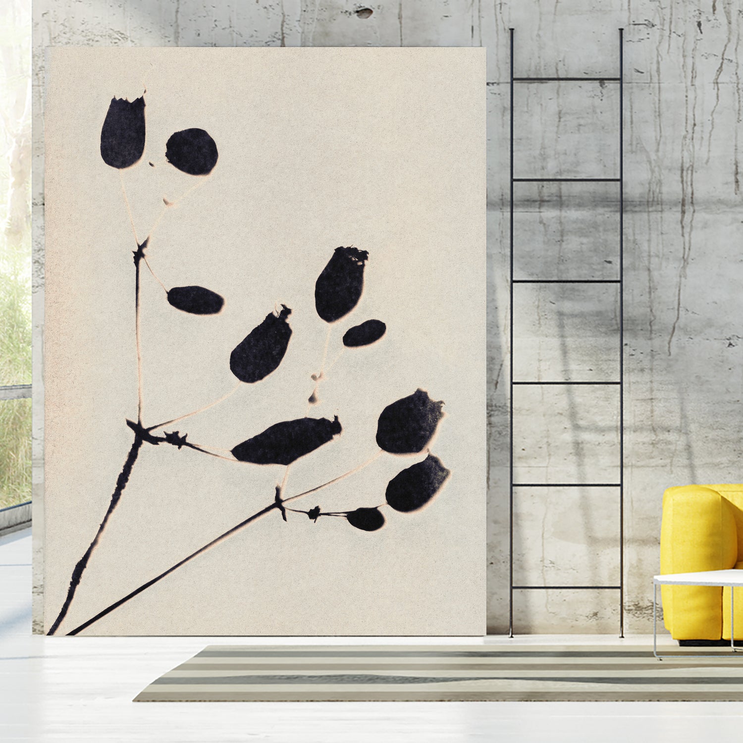 Wildflower In Bloom by Alisa Galitsyna on GIANT ART - monochrome  monochrome