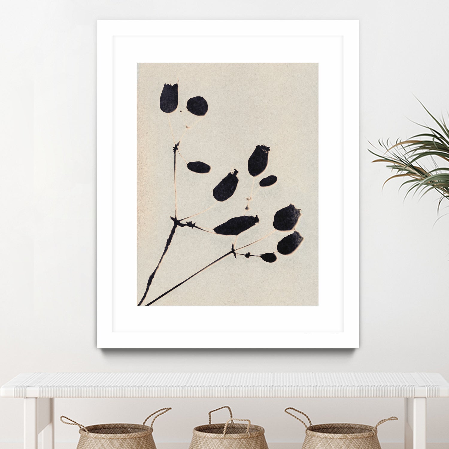 Wildflower In Bloom by Alisa Galitsyna on GIANT ART - monochrome  monochrome