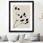 Wildflower In Bloom by Alisa Galitsyna on GIANT ART - monochrome  monochrome