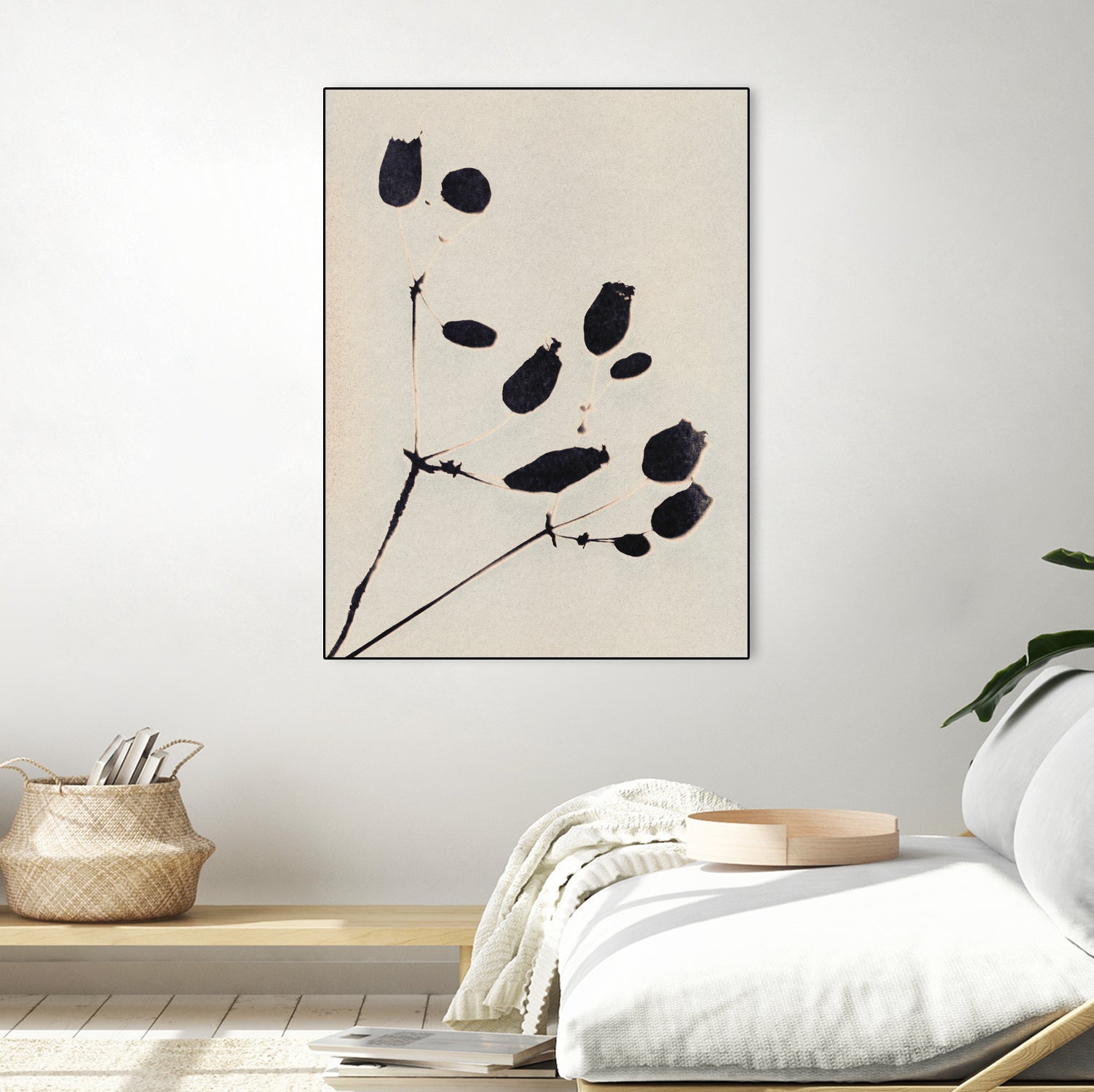 Wildflower In Bloom by Alisa Galitsyna on GIANT ART - monochrome  monochrome
