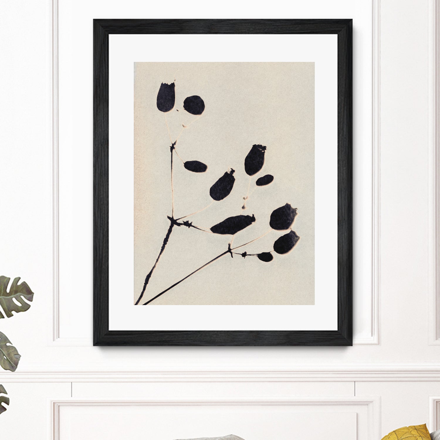 Wildflower In Bloom by Alisa Galitsyna on GIANT ART - monochrome  monochrome