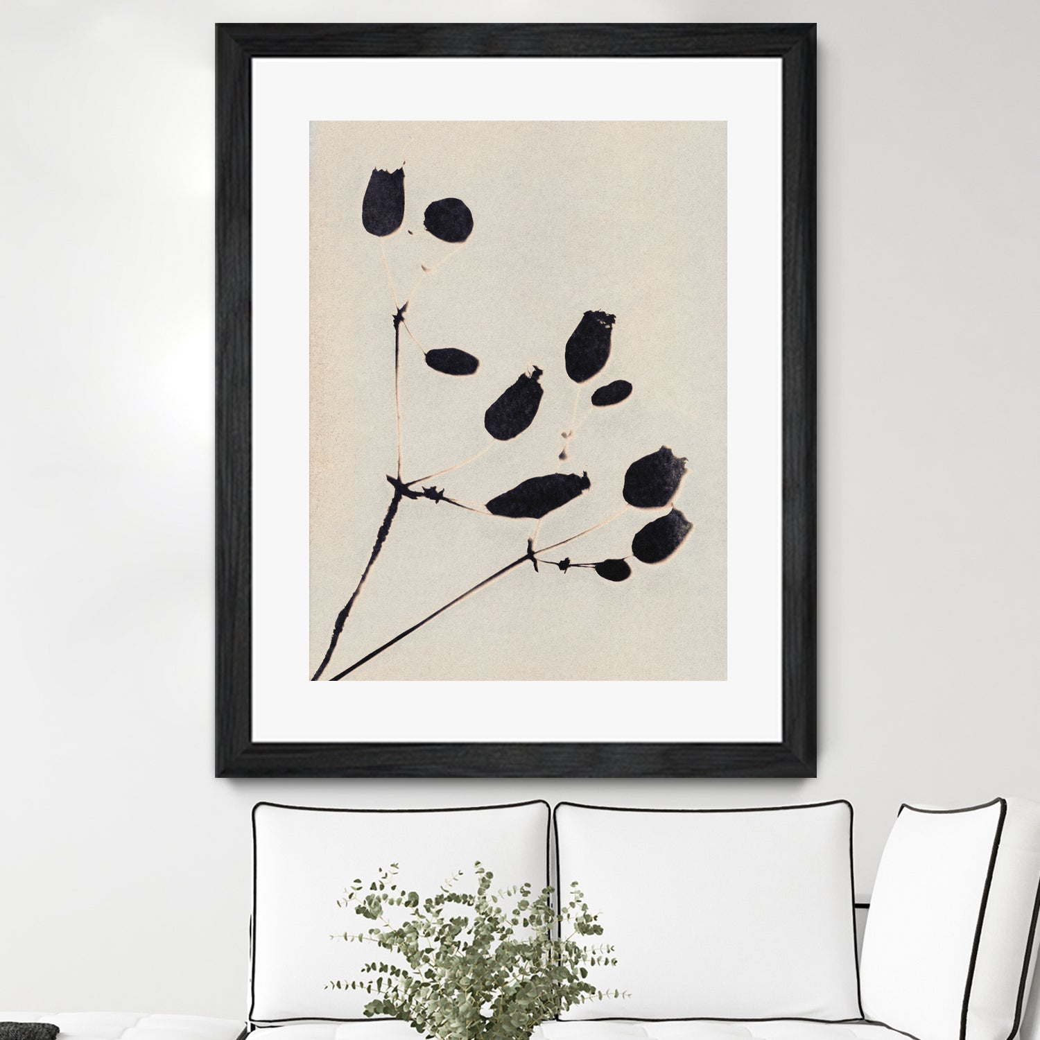Wildflower In Bloom by Alisa Galitsyna on GIANT ART - monochrome  monochrome