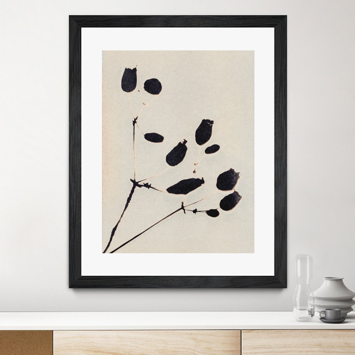 Wildflower In Bloom by Alisa Galitsyna on GIANT ART - monochrome  monochrome