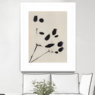 Wildflower In Bloom by Alisa Galitsyna on GIANT ART - monochrome  monochrome
