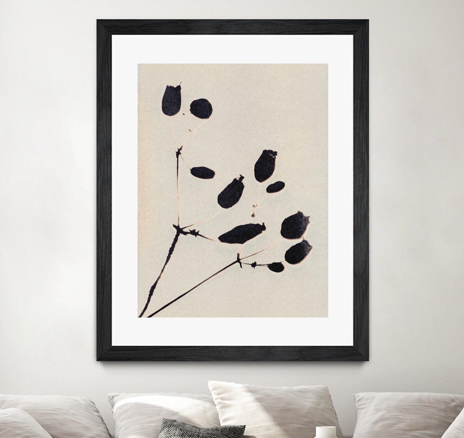 Wildflower In Bloom by Alisa Galitsyna on GIANT ART - monochrome  monochrome