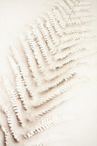 Patterns of Fern by Christina Sillen on GIANT ART - abstract nature art