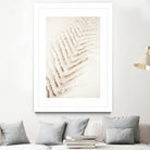 Patterns of Fern by Christina Sillen on GIANT ART - abstract nature art
