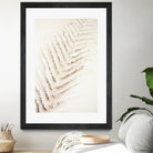 Patterns of Fern by Christina Sillen on GIANT ART - abstract nature art