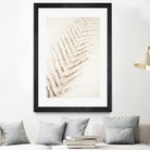 Patterns of Fern by Christina Sillen on GIANT ART - abstract nature art