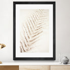 Patterns of Fern by Christina Sillen on GIANT ART - abstract nature art