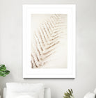 Patterns of Fern by Christina Sillen on GIANT ART - abstract nature art