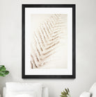 Patterns of Fern by Christina Sillen on GIANT ART - abstract nature art